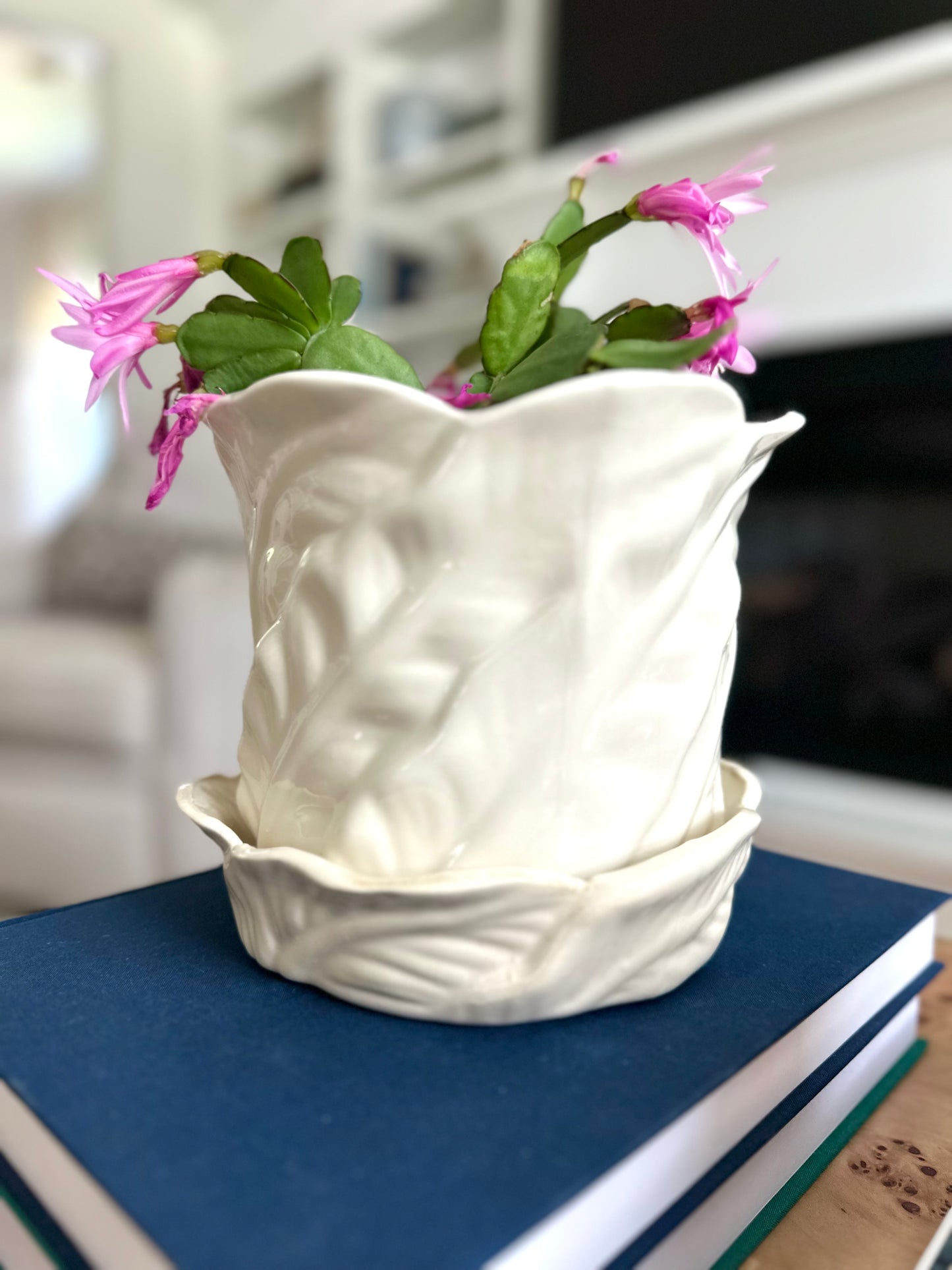 Palm Leaf Cachepot