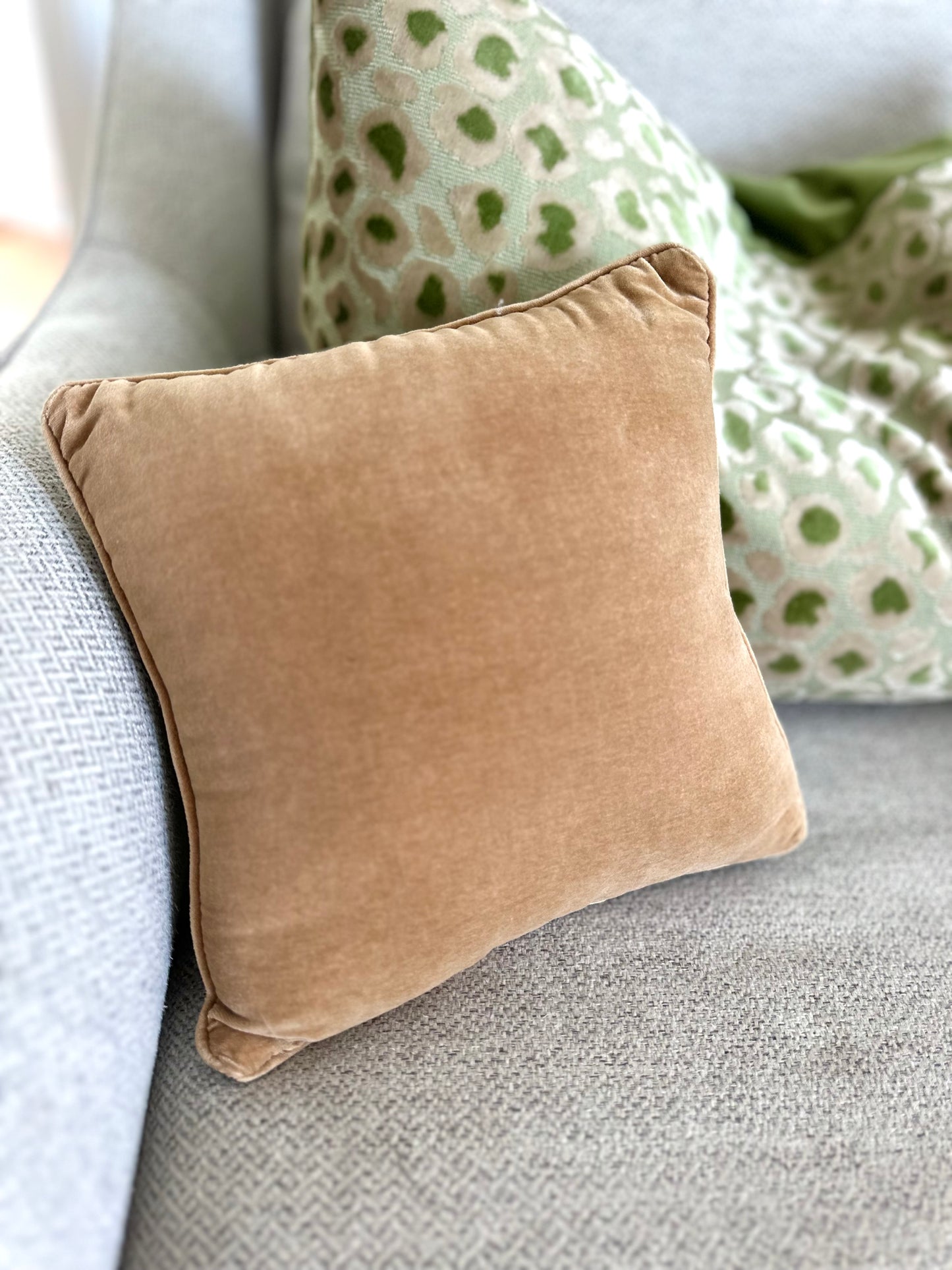 Pomeranian Needlepoint Pillow