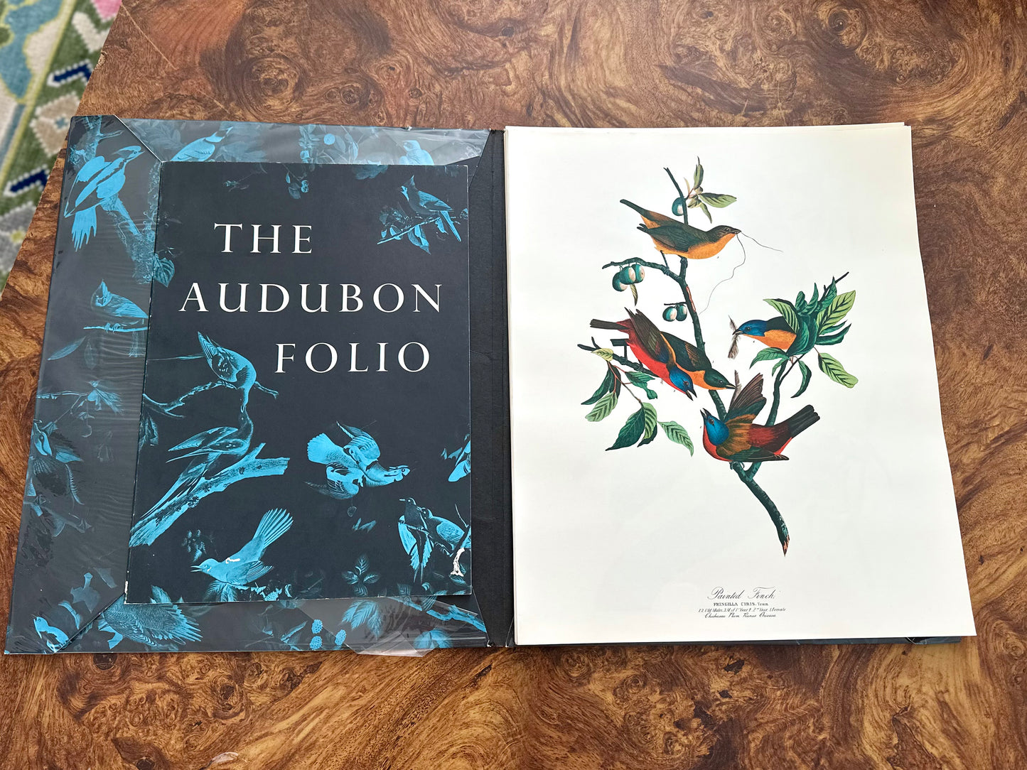 The Audubon Folio