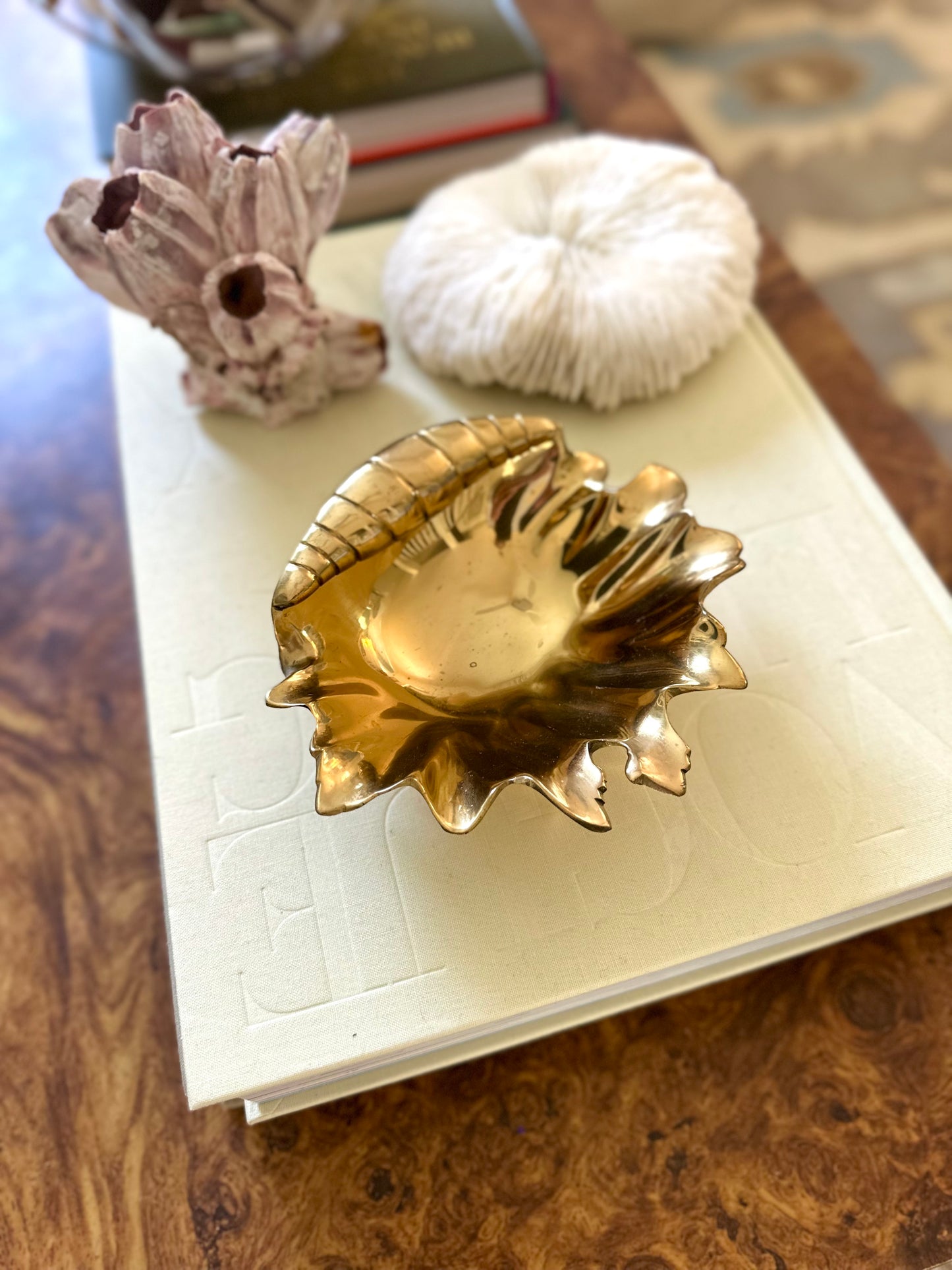 Brass shell dish