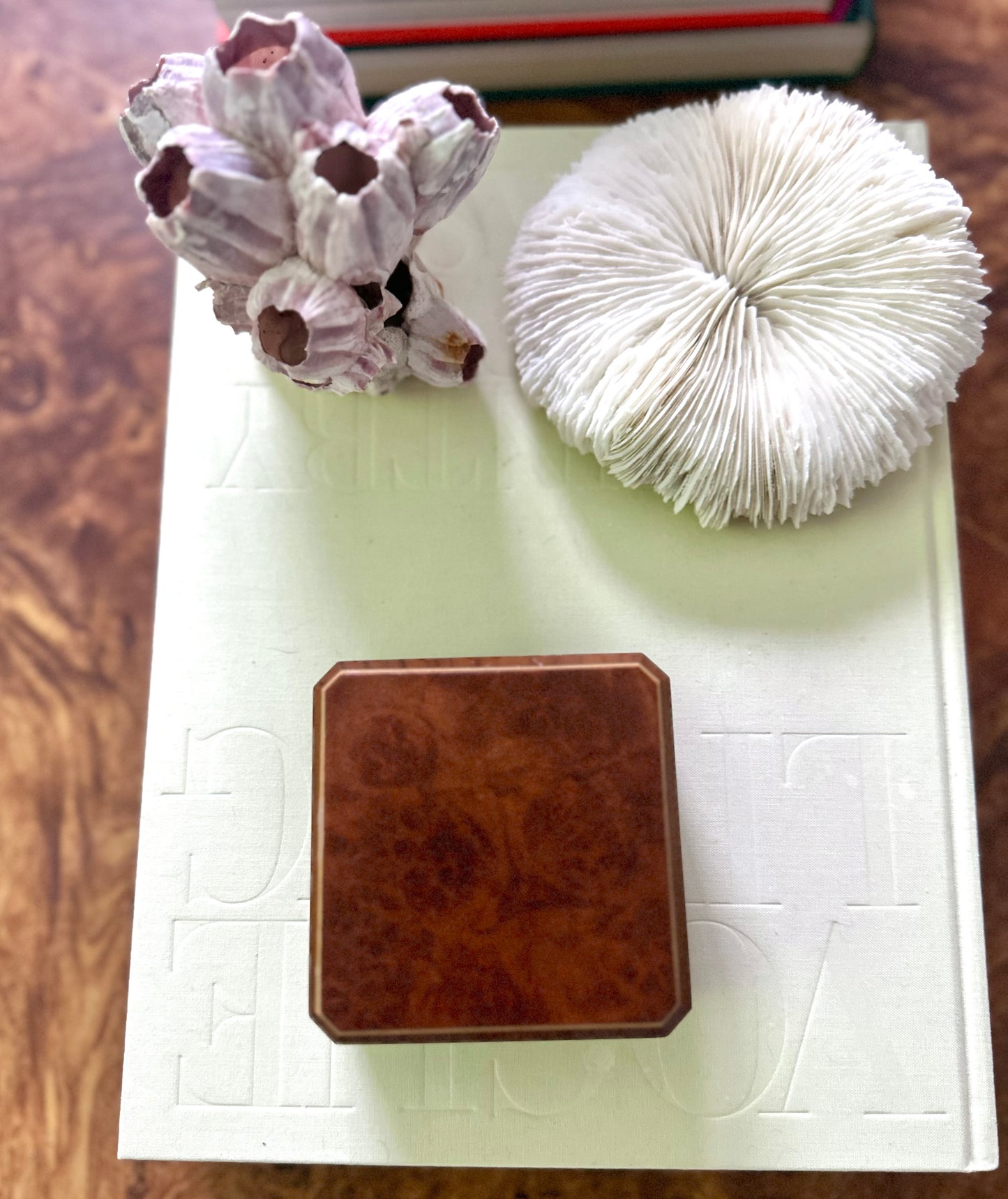 Burlwood trinket box