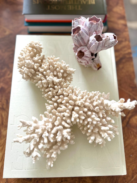 Finger Coral