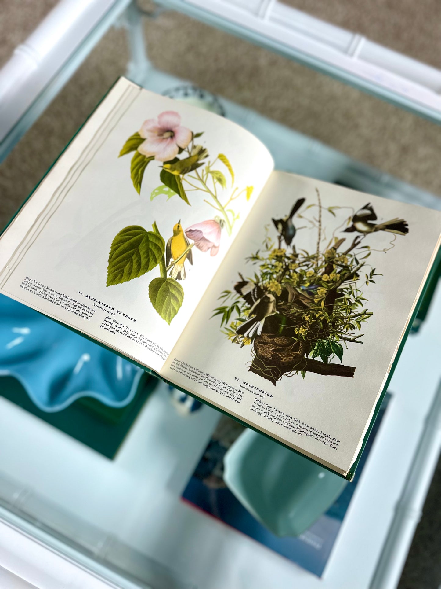 Vintage Birds of America
