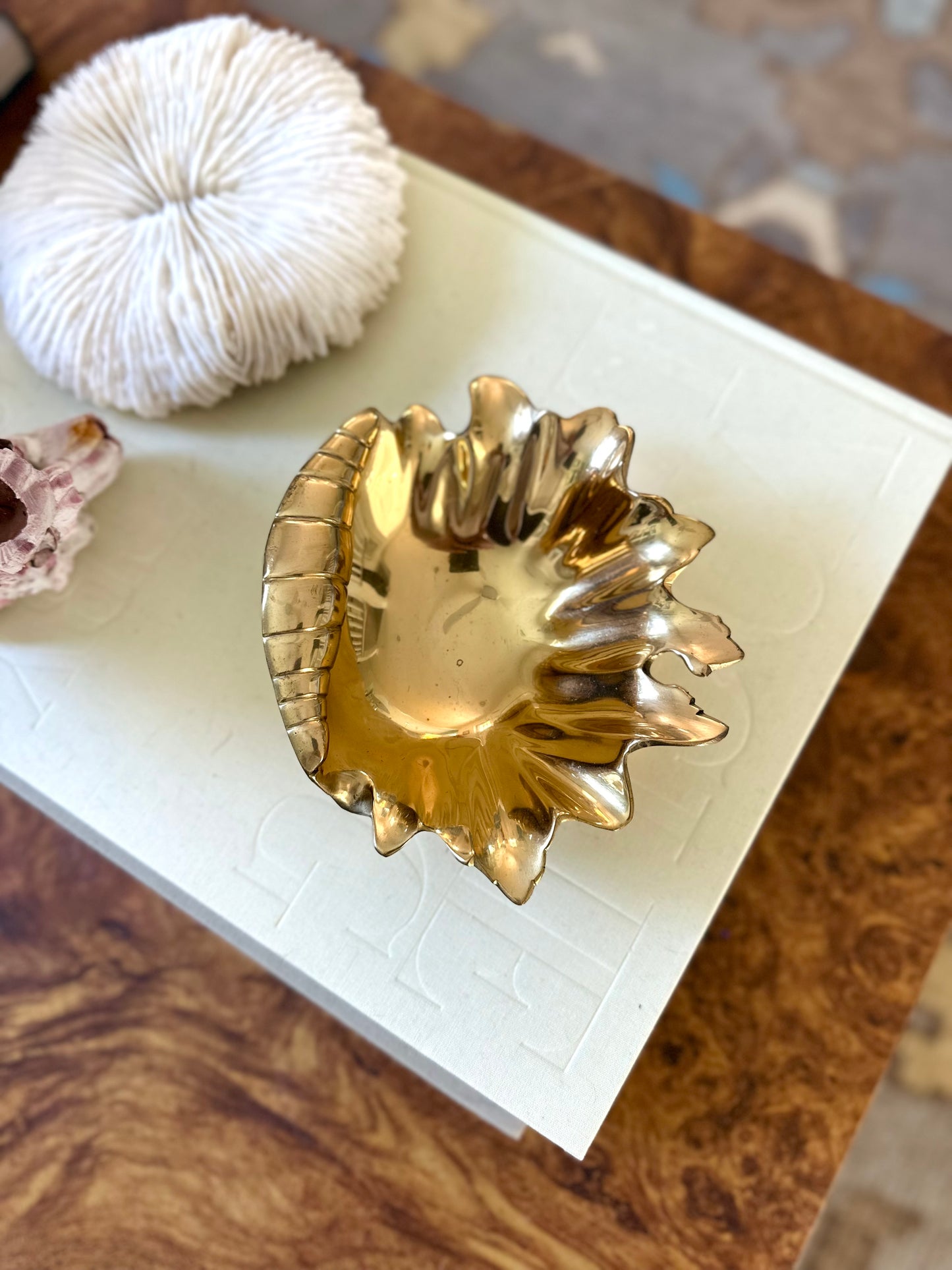Brass shell dish